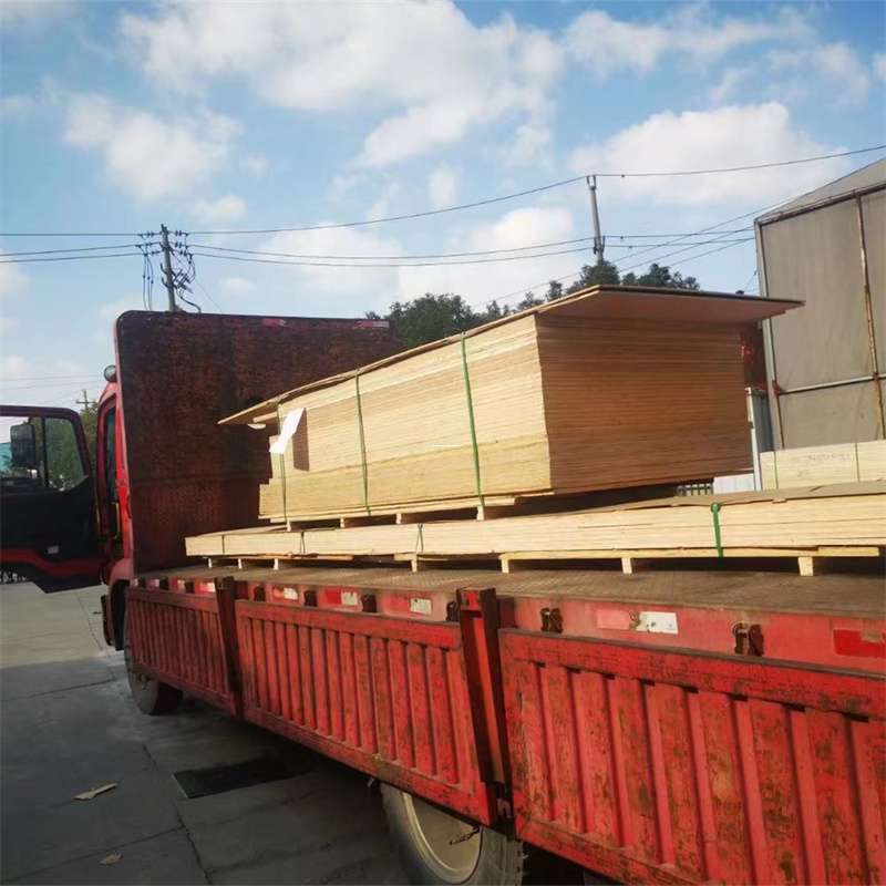 福建南平延平至塔城货运专线，一站式物流服务助您成功